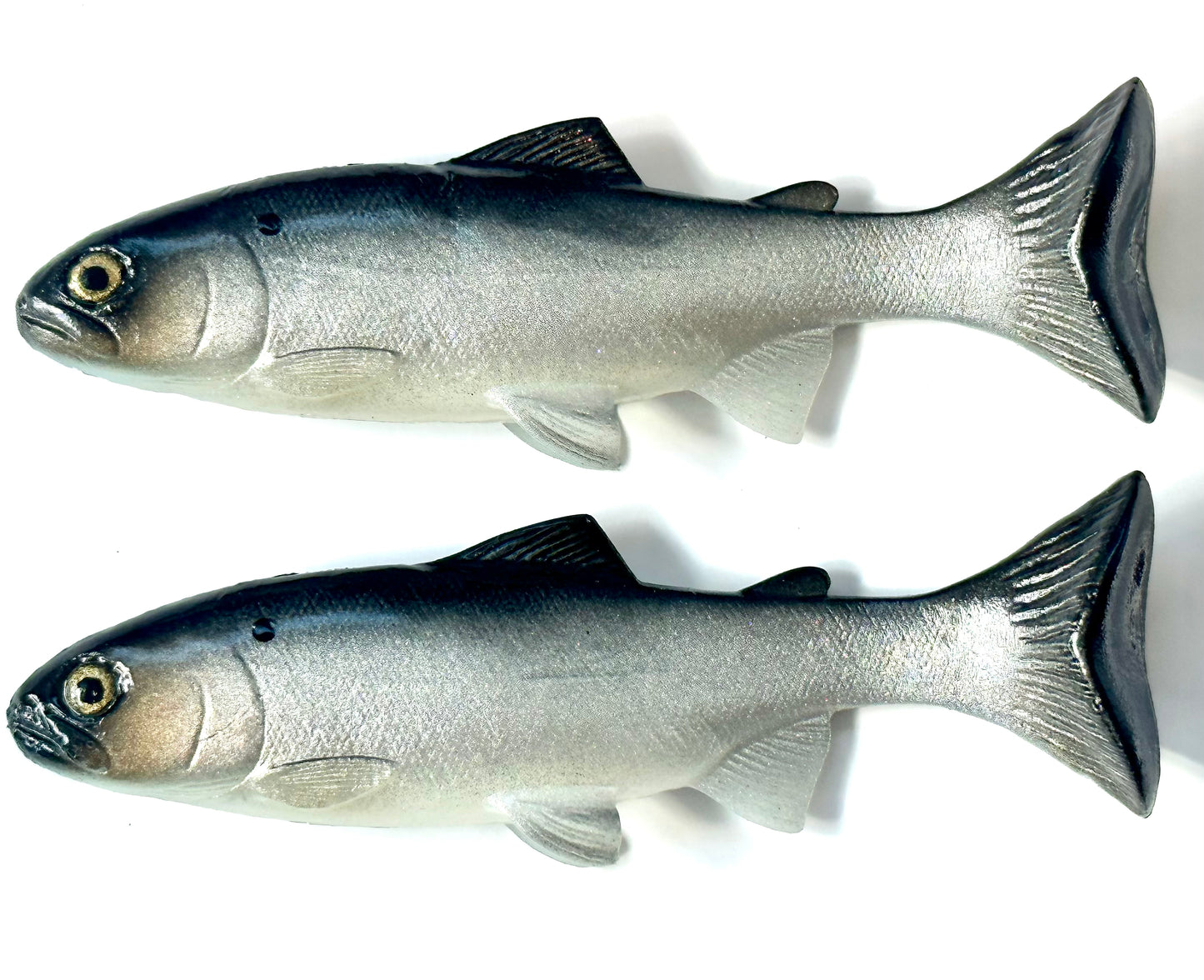 68 Hollow Body Texas Gizzard shad