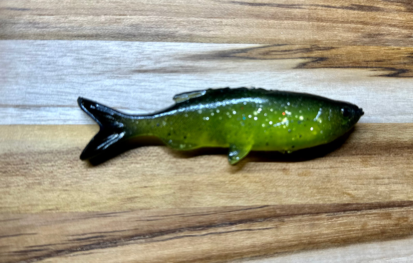 Chartreuse shiner grass minnow