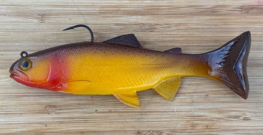 68  yellow fin cut throat