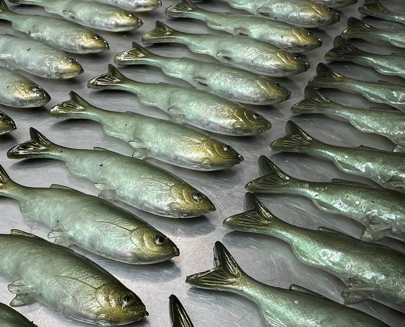 Grass minnow Simon says 3