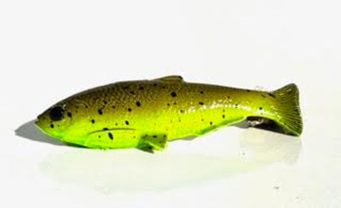 weedless shad TOXIC