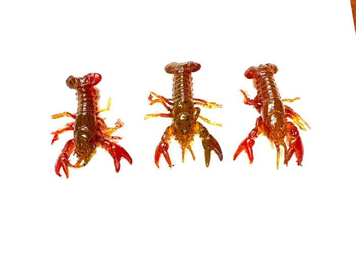 Hand Painted - Autumn Craw