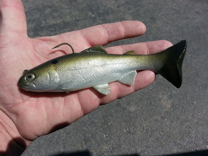 68 Special Silver Green Back Shad