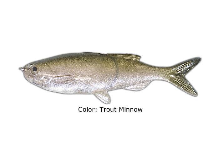 Grass Minnow Trout
