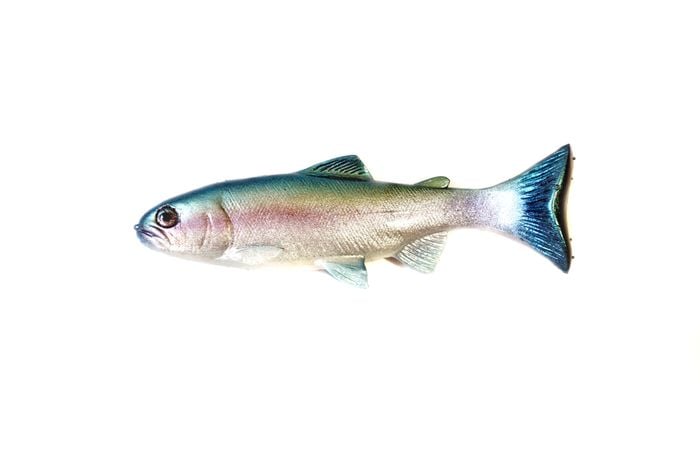 68 Weedless Blue Hitch ROF 12