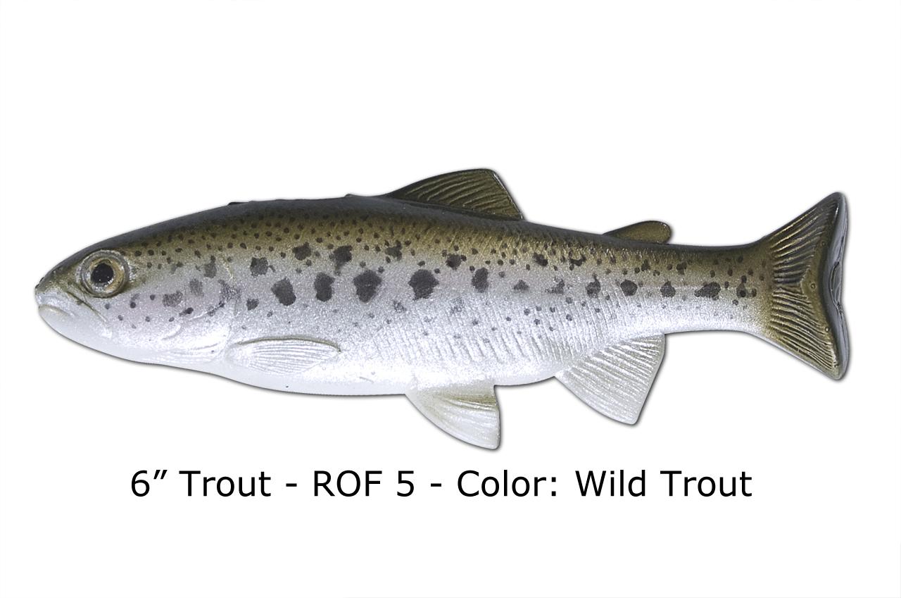 6" Juvenile Trout