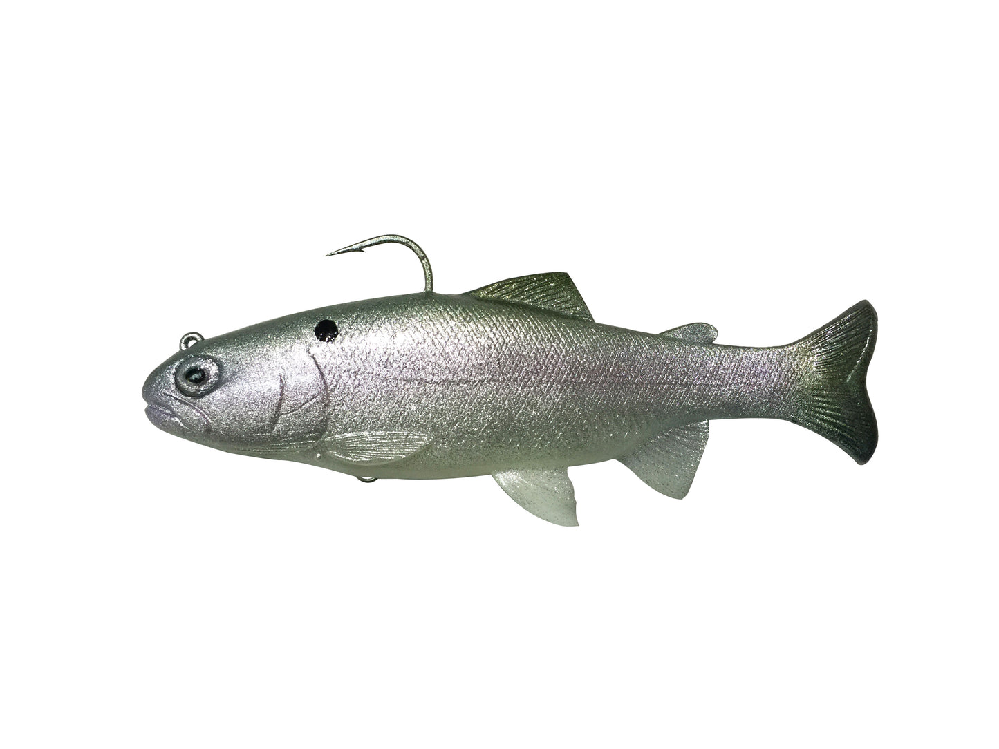 6" Blueback Herring