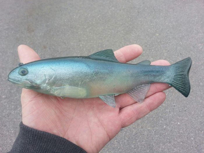 8inch Phantom Silver Blue Green ROF 5 NO hook bottom hanger