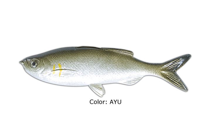 Grass Minnow AYU