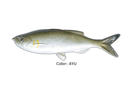 Grass Minnow AYU