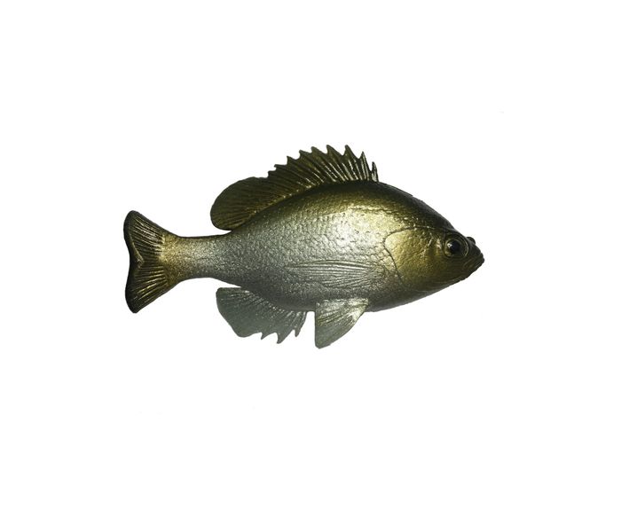 BlueGill Silver Green TH ROF 12