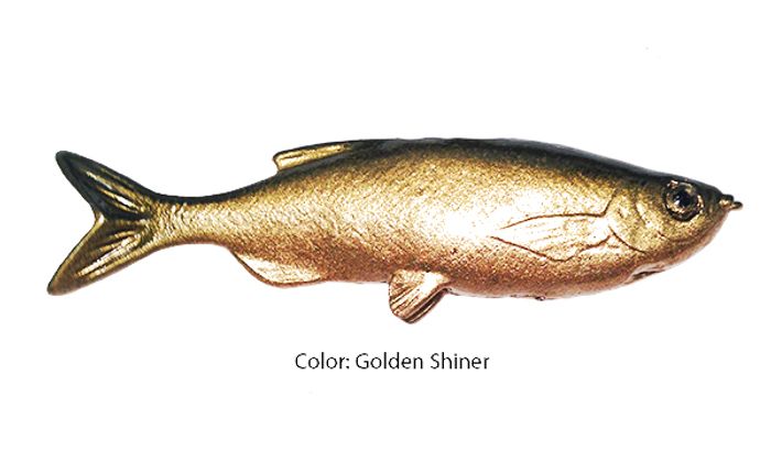 Grass Minnow Golden Shiner