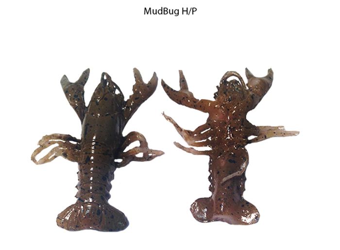 Hand Painted - Mudbug