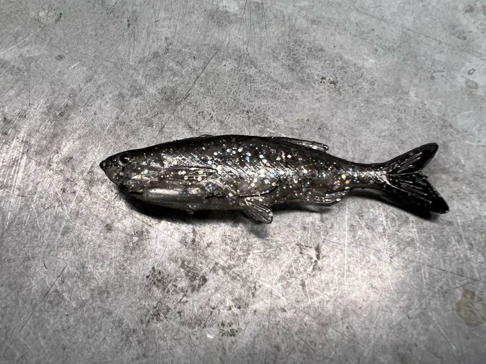 Grass Minnow Hologram