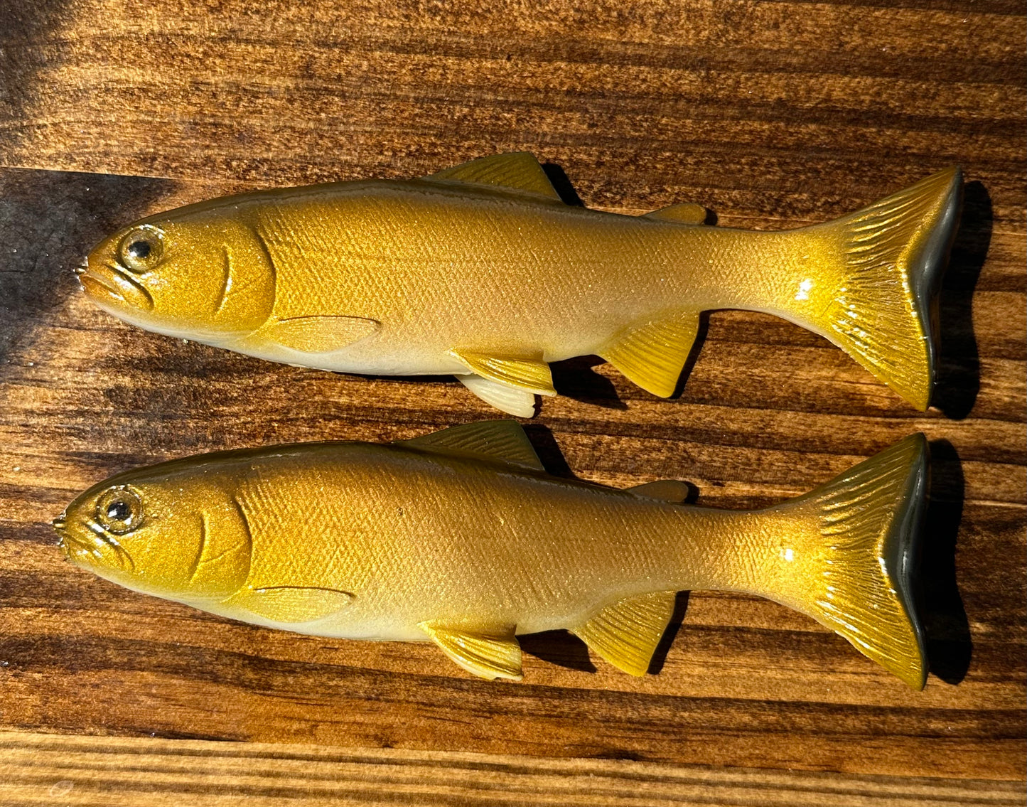 68 hollow body carp