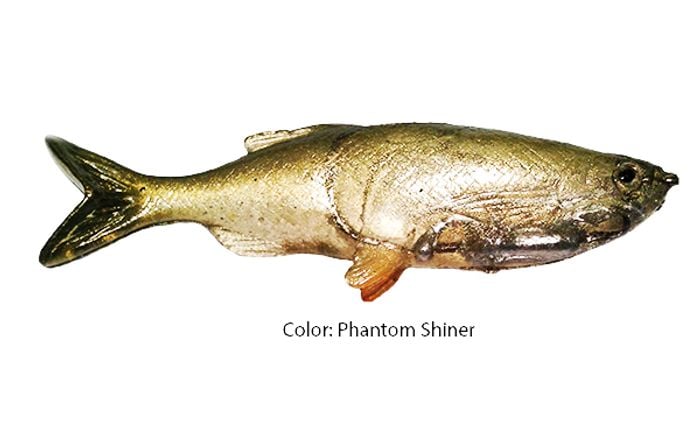 Grass Minnow Phantom Shiner