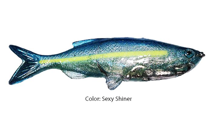 Grass Minnow Sexy Shiner