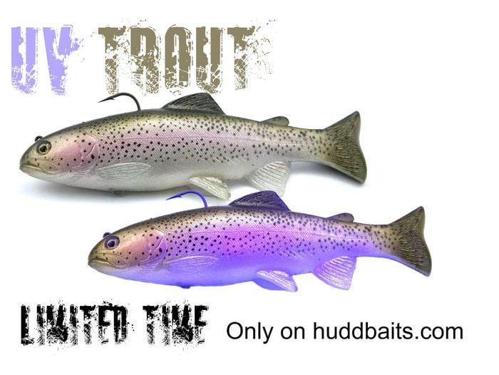 8inch UV Rainbow ROF 5