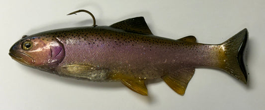 8” sunset Trout