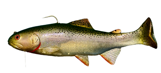 10” Kudzu Trout