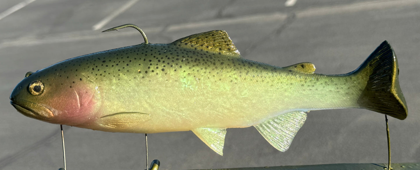 10” Simon says trout 3