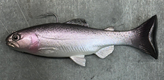 68 Rof 5 Dworshak Kokanee