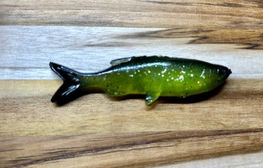 Chartreuse shiner grass minnow
