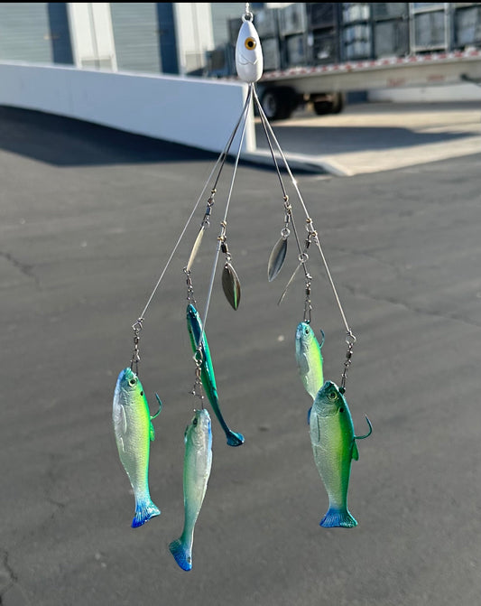 Caribbean shad a-rig