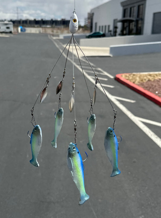 Blue chartreuse a-rig