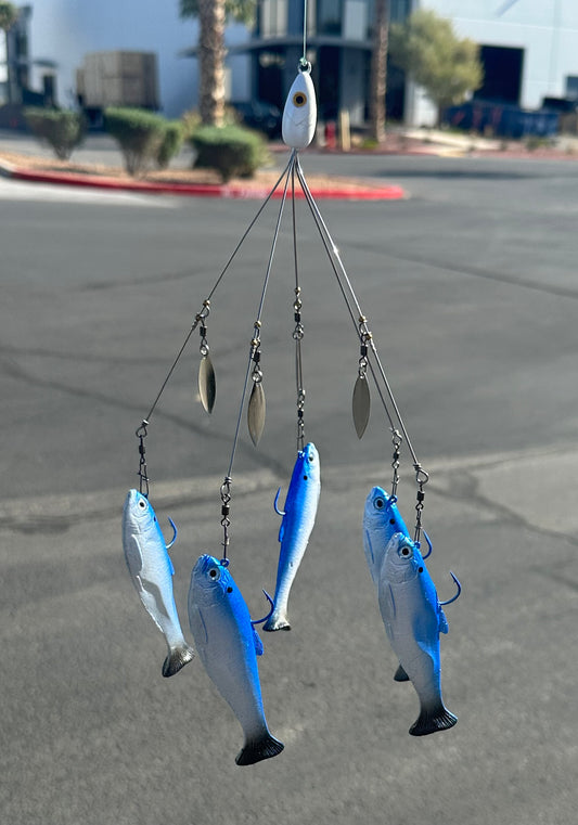 Pearly blue A-rig
