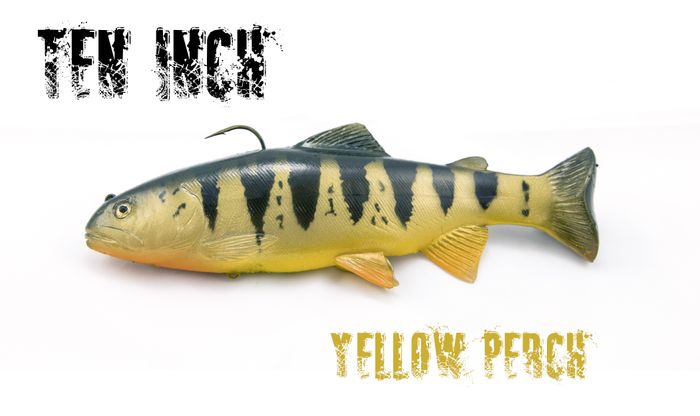 10inch Yellow Perch ROF 5