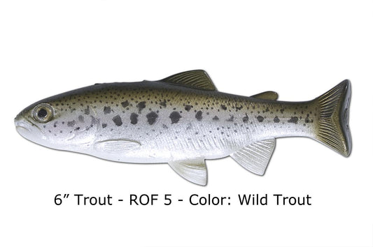 6" Juvenile Trout