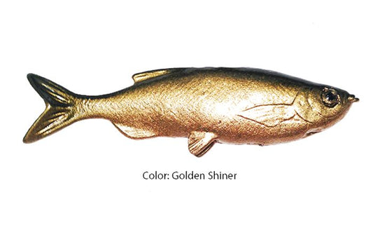 Grass Minnow Golden Shiner