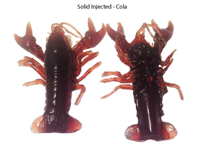 Solid Injected - Cola