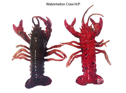 Hand Painted - Watermelon Craw