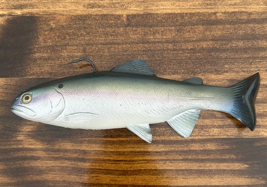 8" Blueback Herring