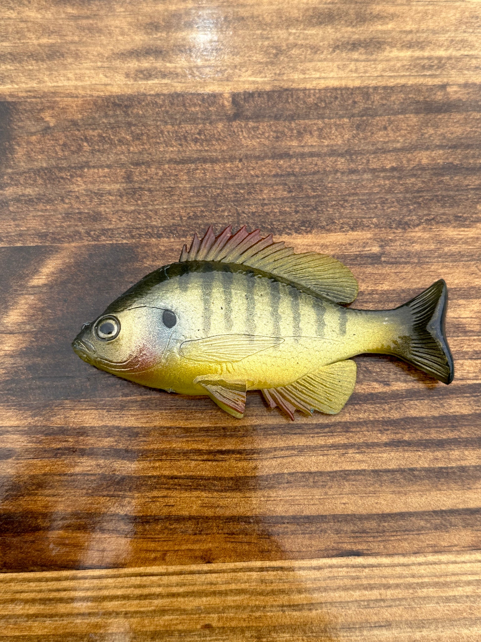 Huddgill Green Sunfish –