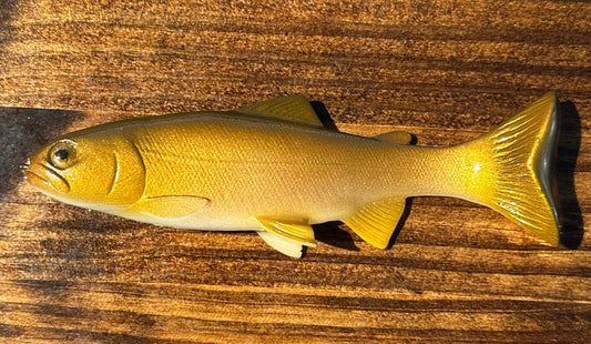 10” Carp
