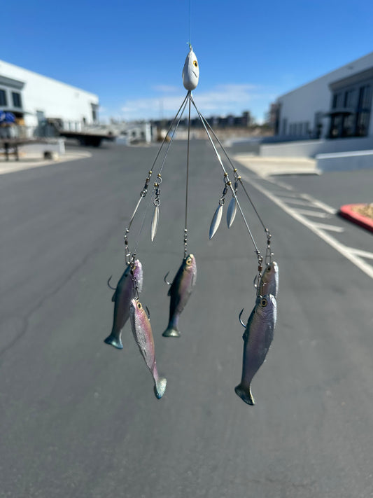 Blue herring A -rig